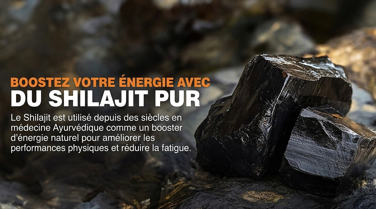 Gélules de Shilajit