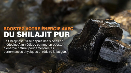 Gélules de Shilajit