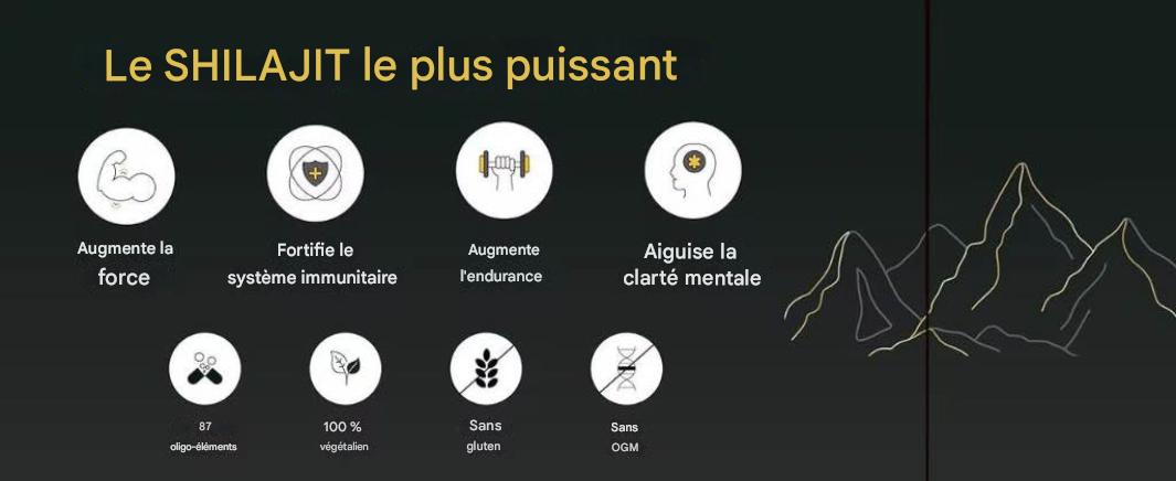 🏔️ HIMALAYAN SHILAJIT 30G